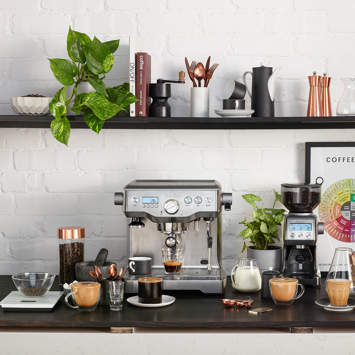 Breville Dynamic Duo Machine and Grinder Package — image 9